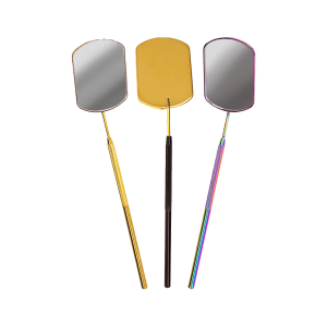 Lash Mirror